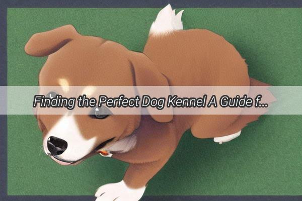 Finding the Perfect Dog Kennel A Guide for Every Home and Breed